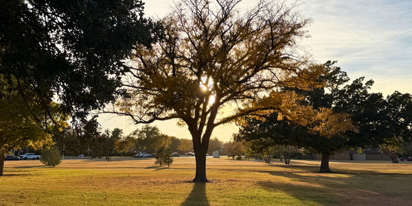 Parks That Feel Like Fall in Lubbock