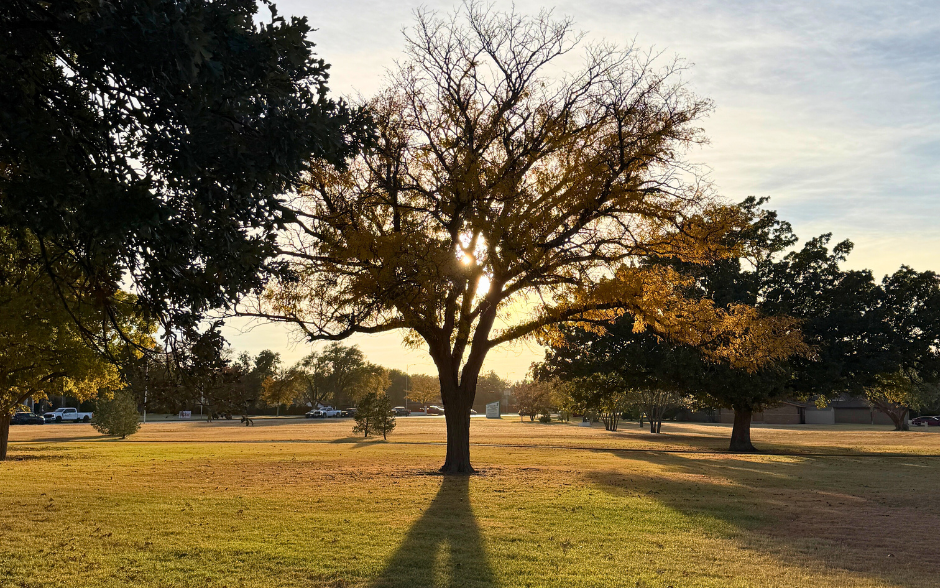 prop-realty-lubbock-higginbotham-park