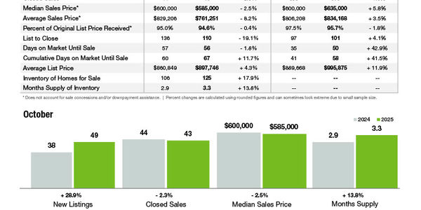 Davidson Market Statistics