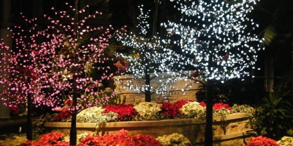Holiday at The Garden – Daniel Stowe Botanical &hellip;