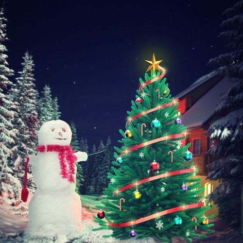 Matthews Christmas Tree Station & Holiday Market