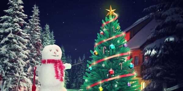 Matthews Christmas Tree Station & Holiday Market