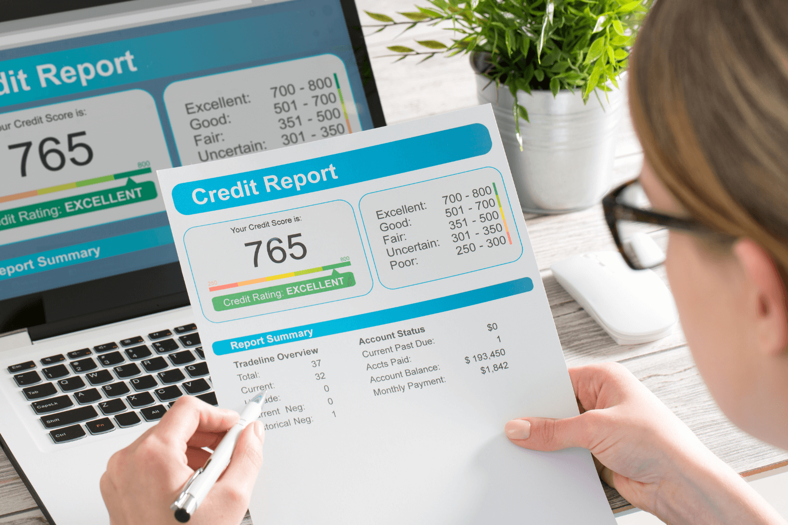 Person checking their credit report on a laptop