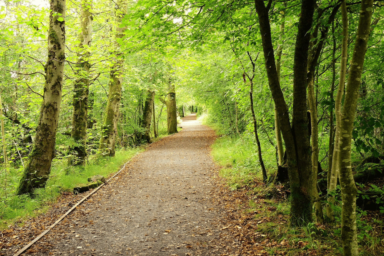 Nature trail in Danville CA