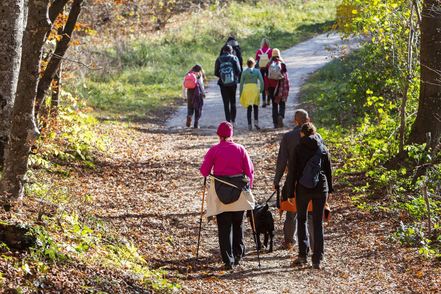 Family hiking on a trail in Mount Diablo State Park near Clayton, CA