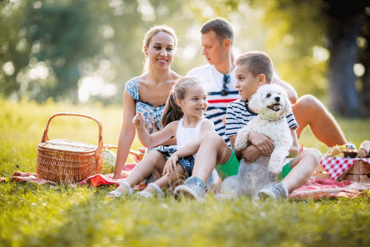 Family having a picnic with a dog nearby