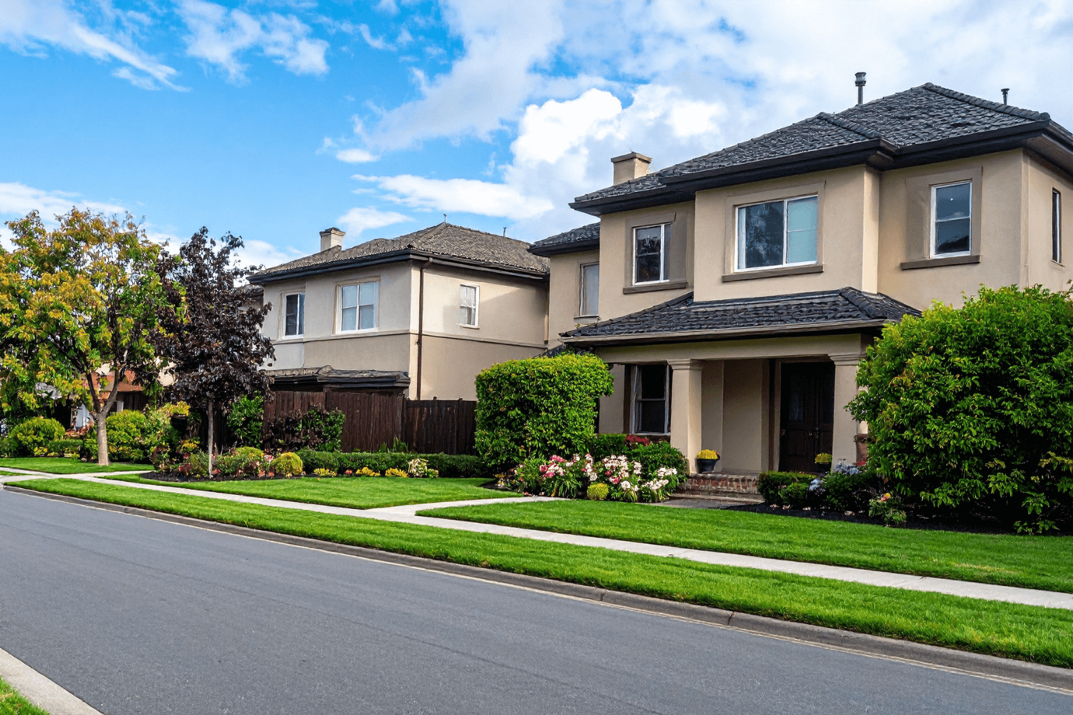 Tree-lined street with suburban homes