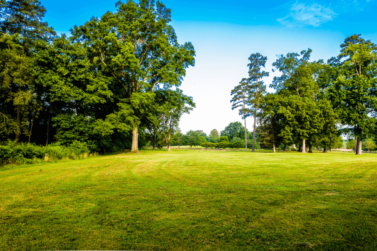 Green open park space