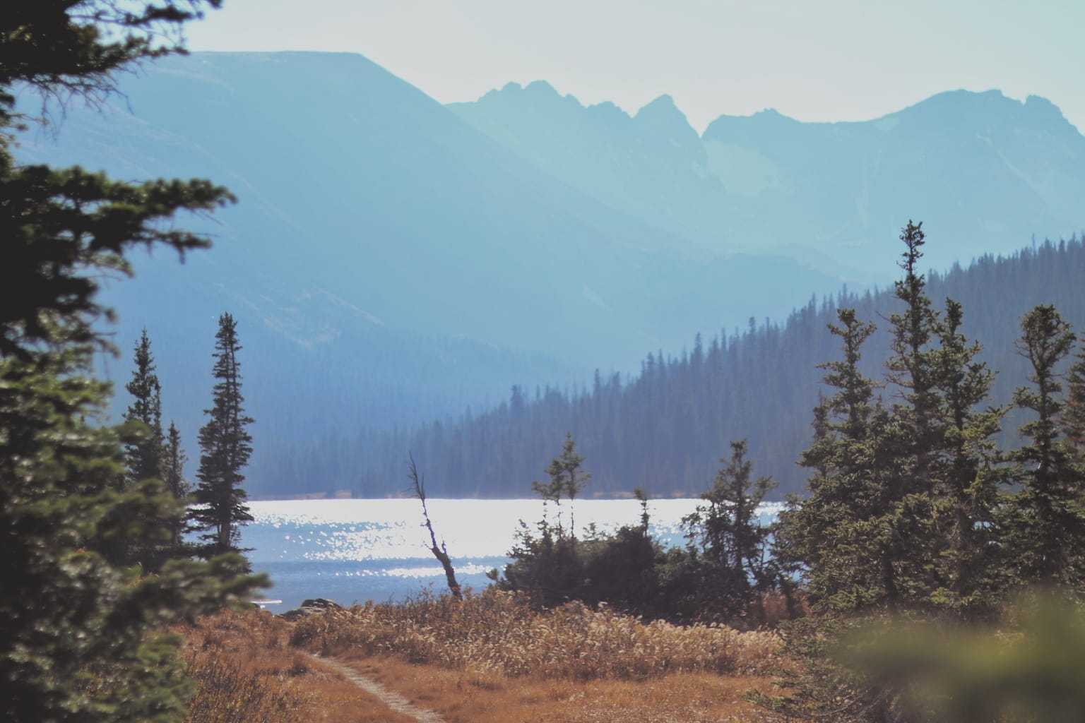 Hiking trail at Lafayette Reservoir