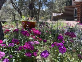 178 Quintana Road Questa, NM 87556