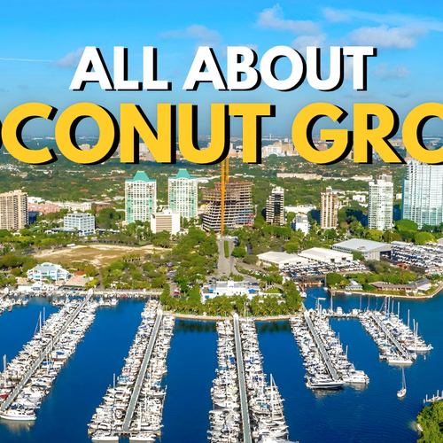 Living in Coconut Grove: Prices, Schools & Lifestyle