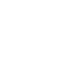 Icon 3