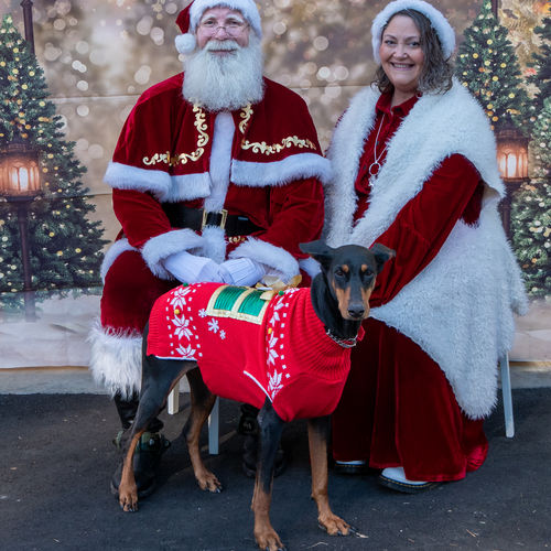 Magical Christmas in Beaufort, SC