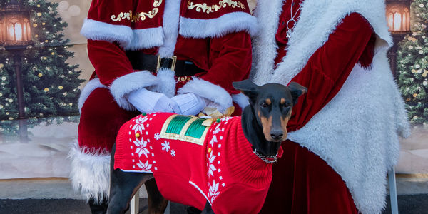 Magical Christmas in Beaufort, SC