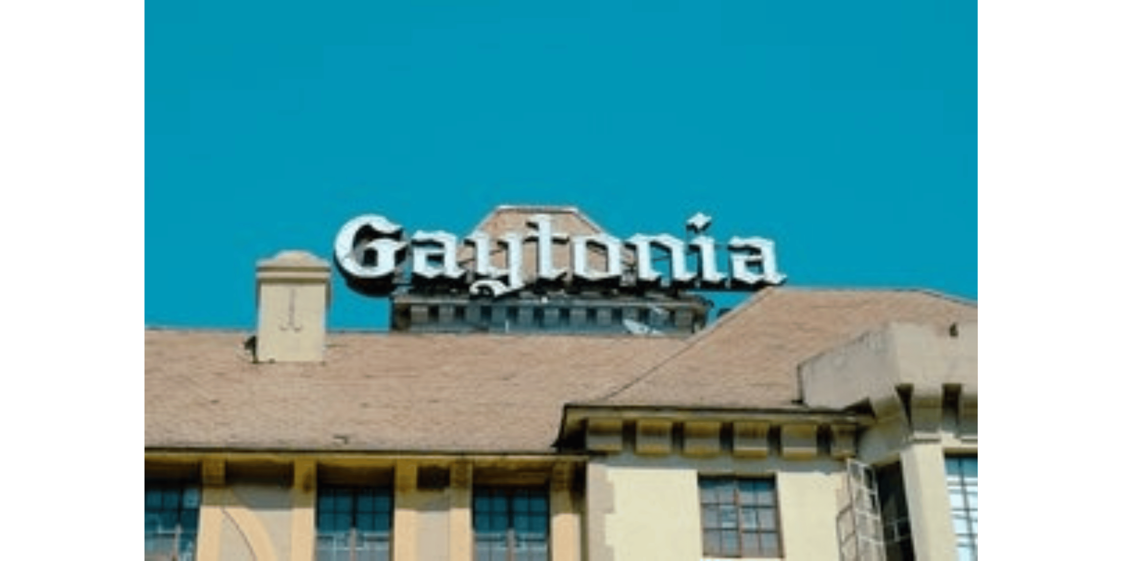 Banner Blog images - 2025-11-04T141800.770