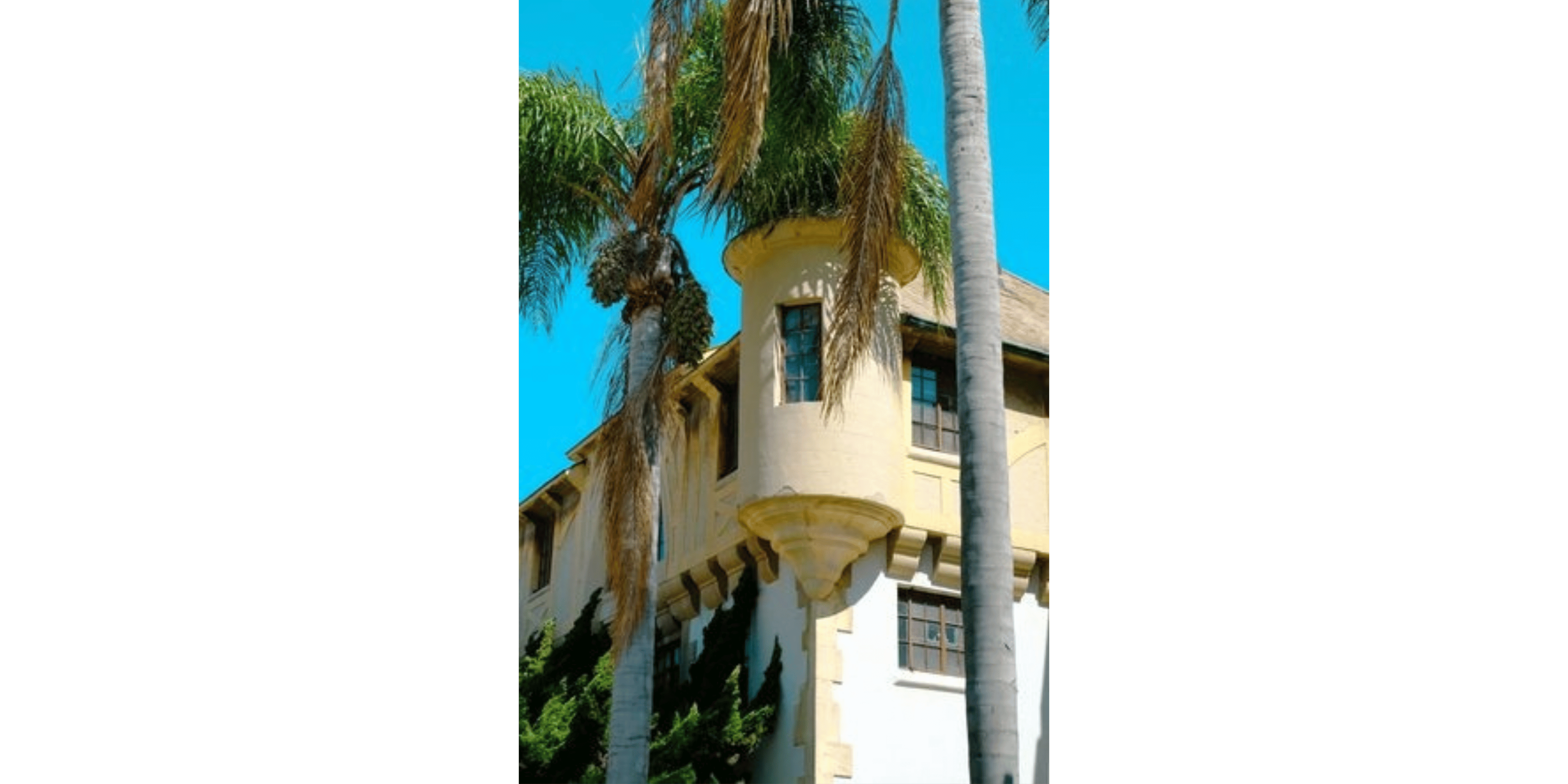 Banner Blog images - 2025-11-04T142435.654