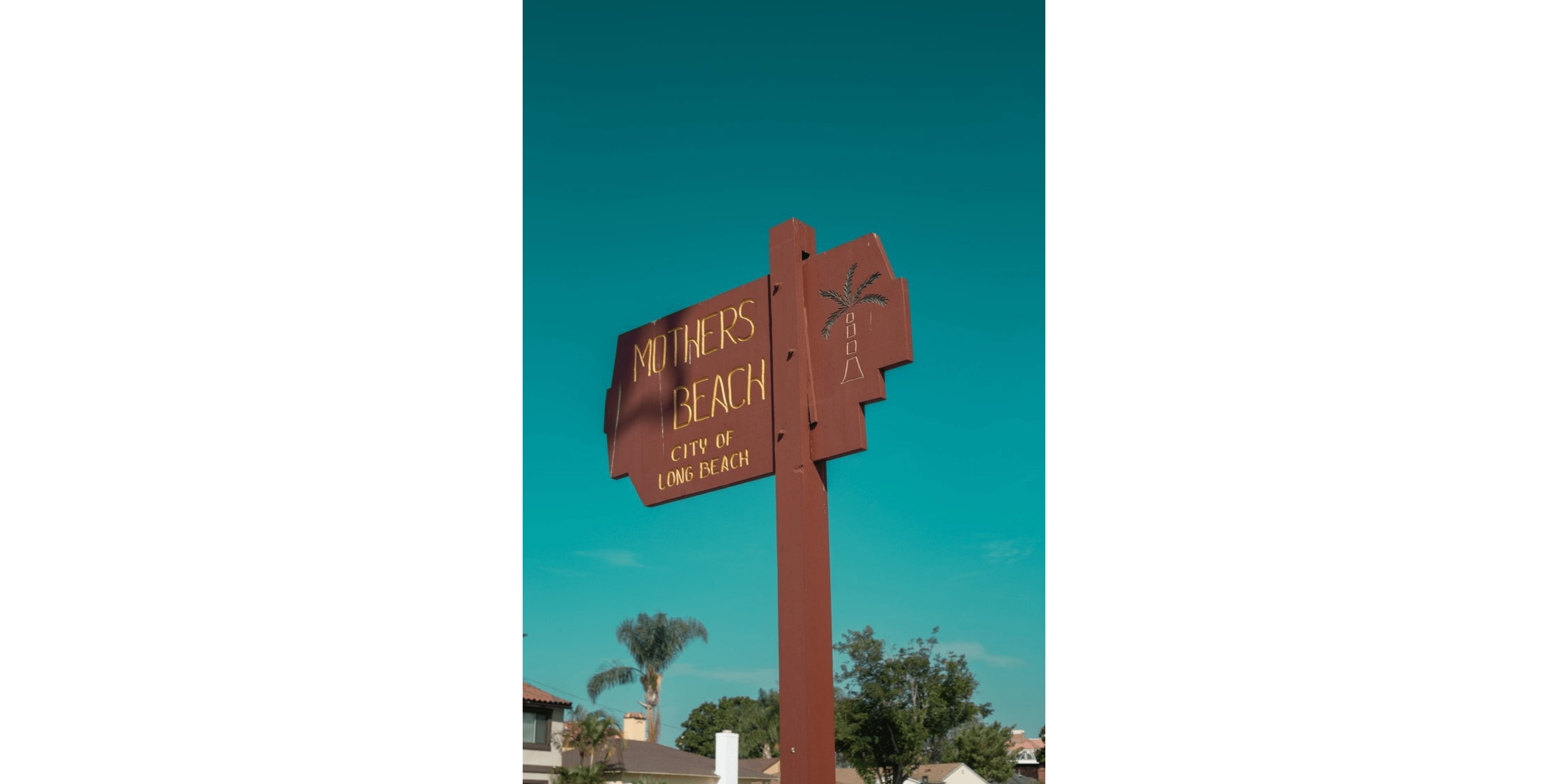 Banner Blog images - 2025-11-05T094054.660