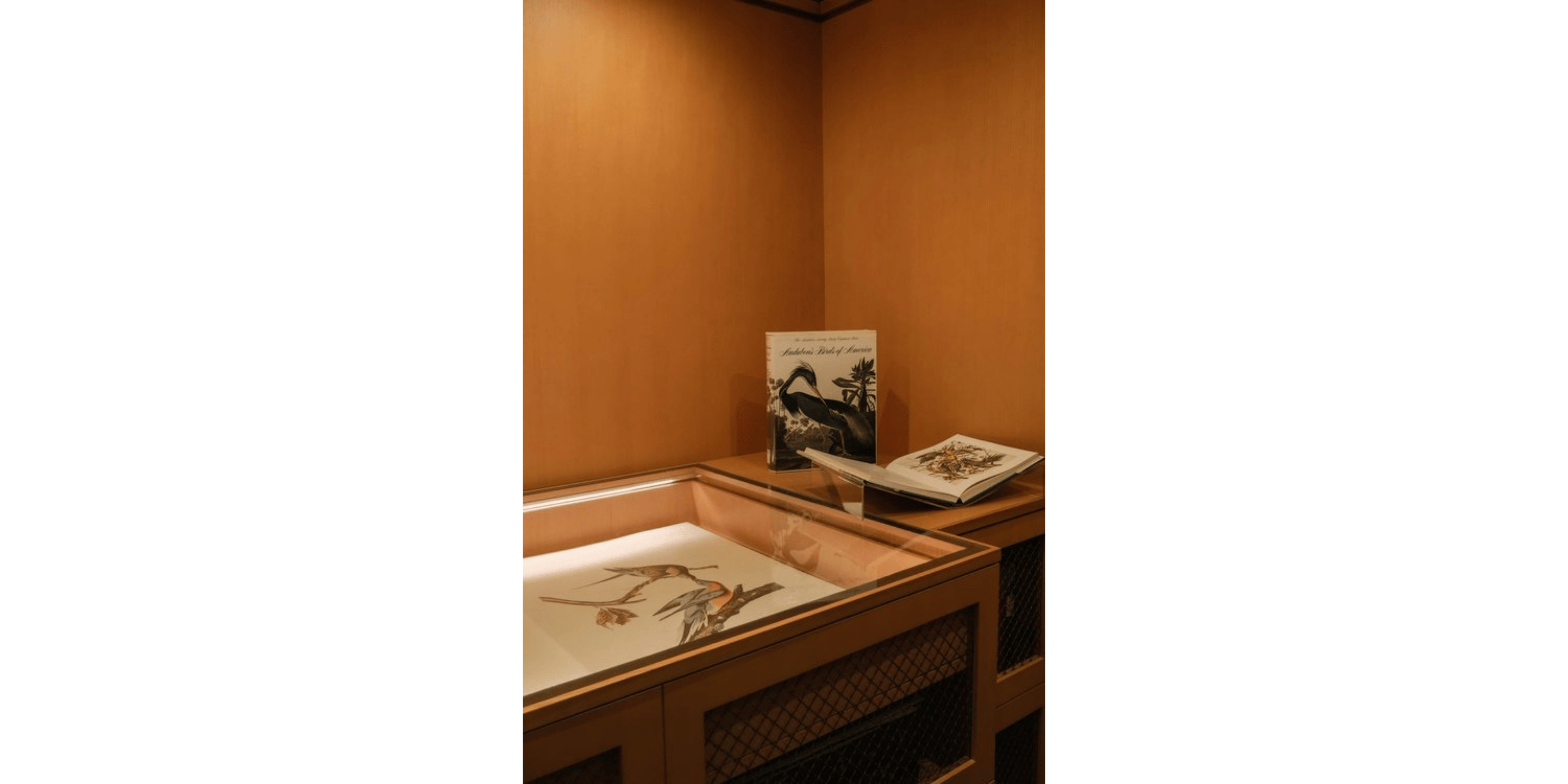 Banner Blog images - 2025-11-05T114610.973