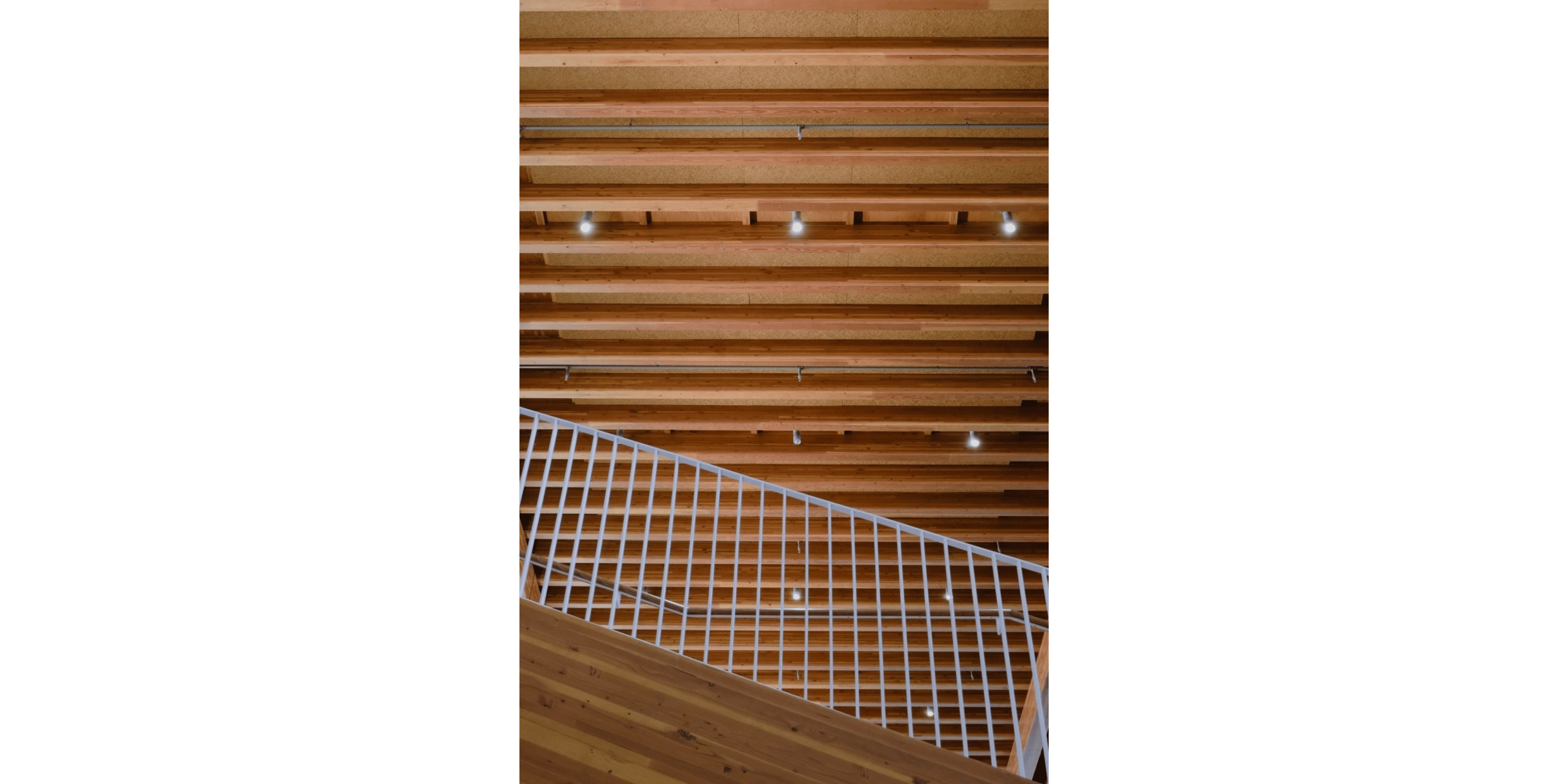 Banner Blog images - 2025-11-05T115222.559