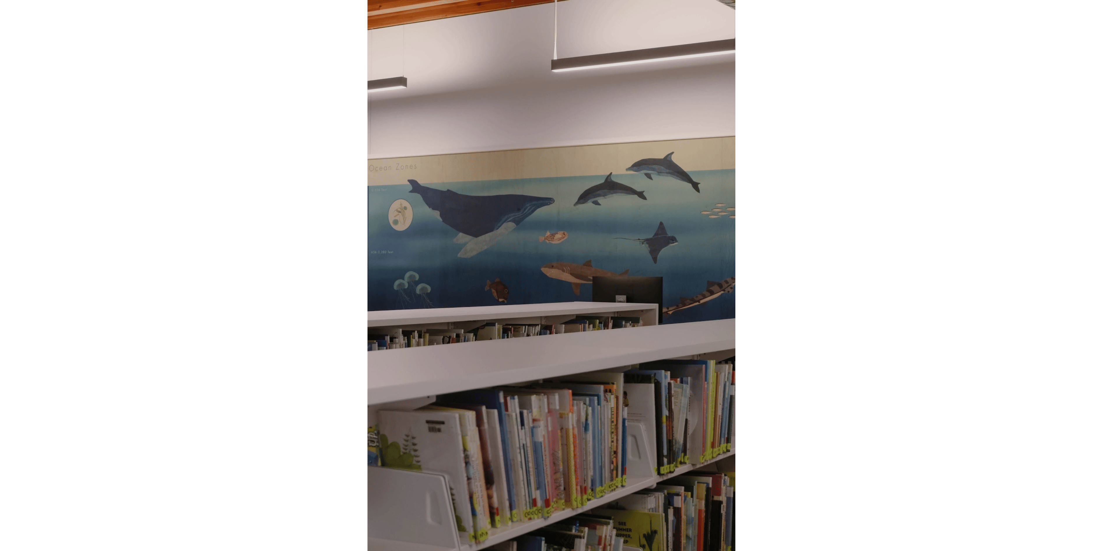 Banner Blog images - 2025-11-05T115553.225