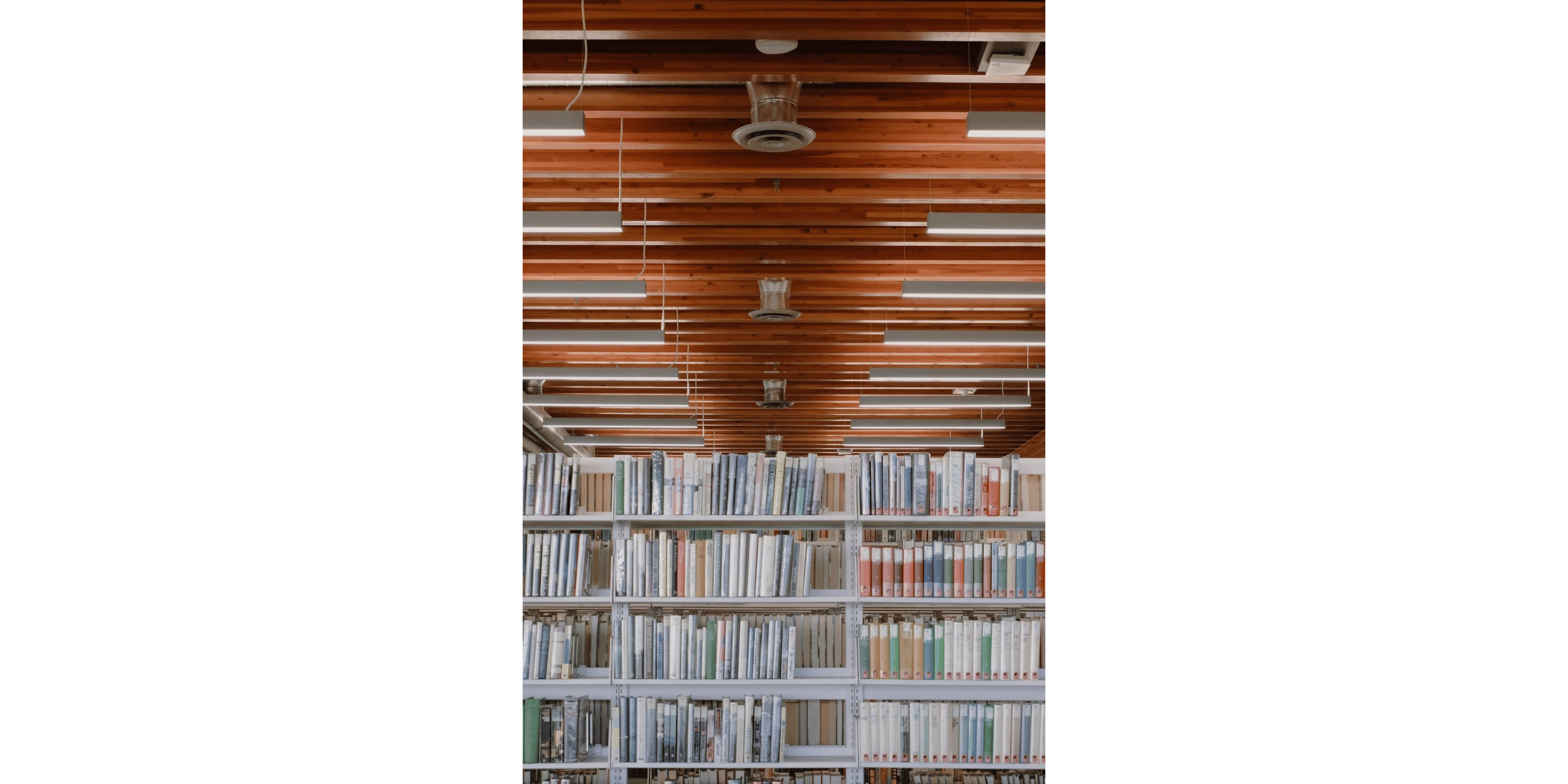 Banner Blog images - 2025-11-05T115815.522