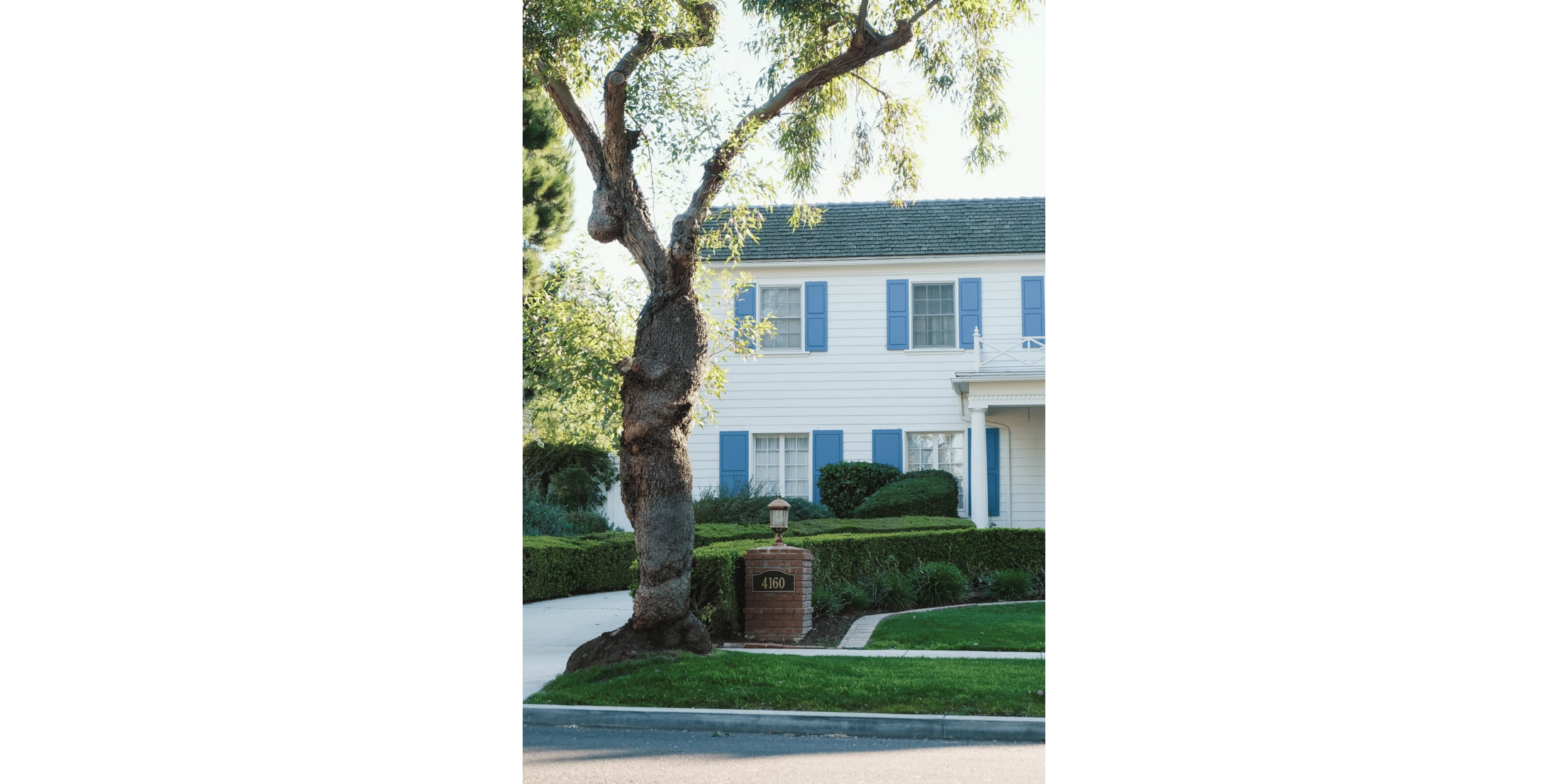 Banner Blog images - 2025-11-05T132036.890