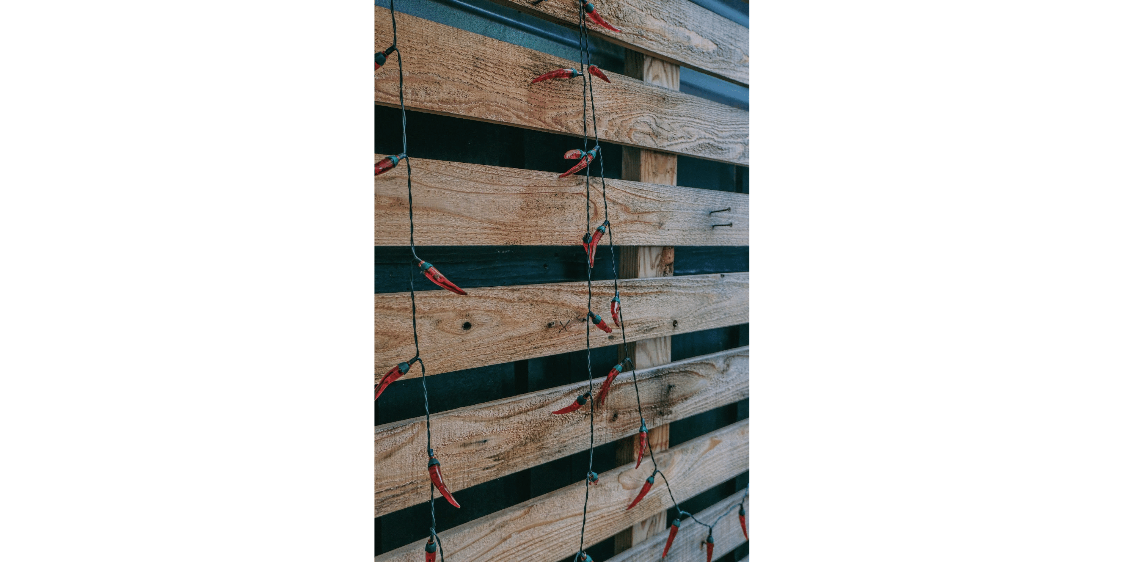 Banner Blog images - 2025-11-05T141301.248