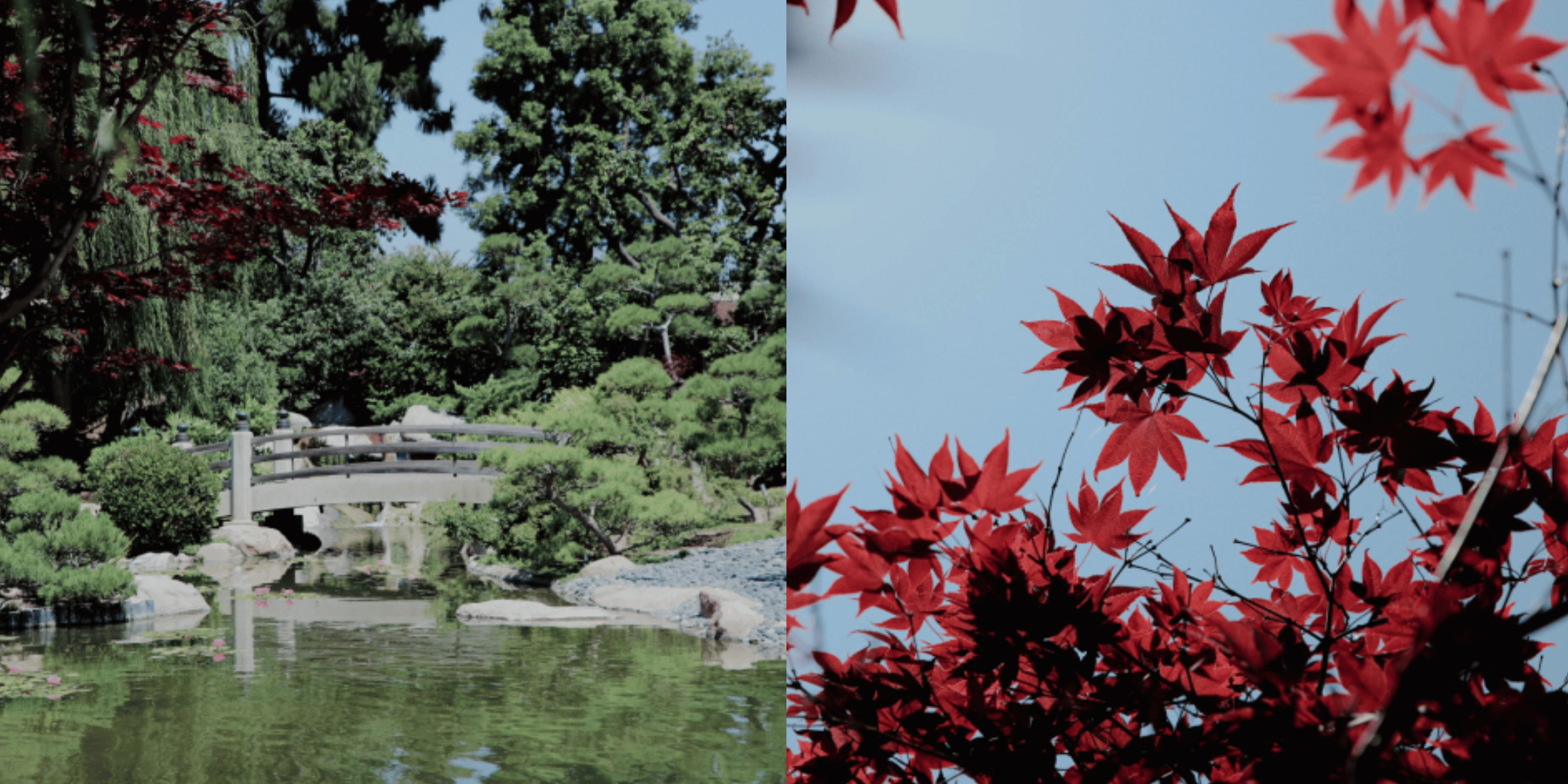 Banner Blog images - 2025-11-05T155853.764