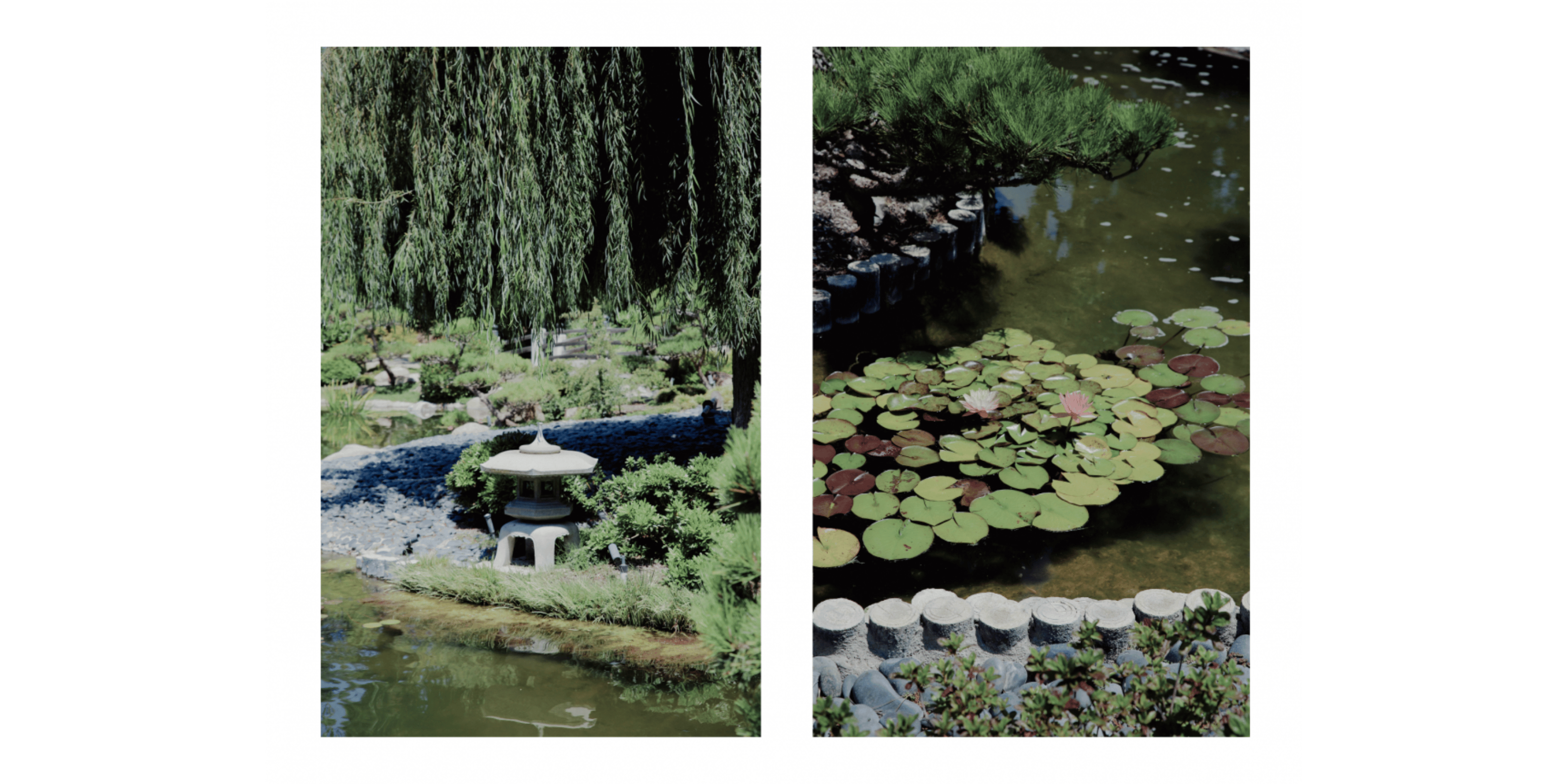 Banner Blog images - 2025-11-05T160053.674