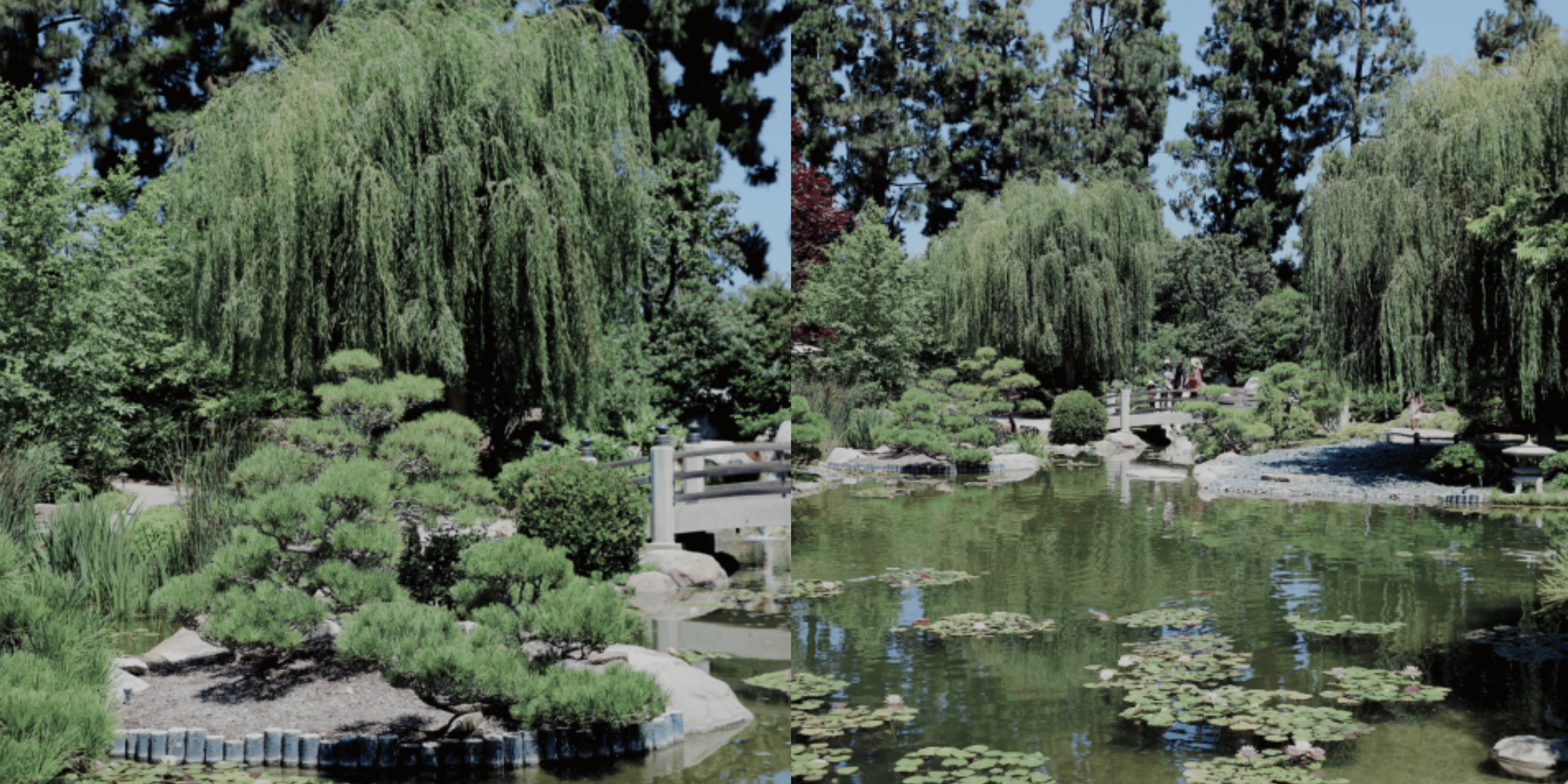 Banner Blog images - 2025-11-05T160551.878