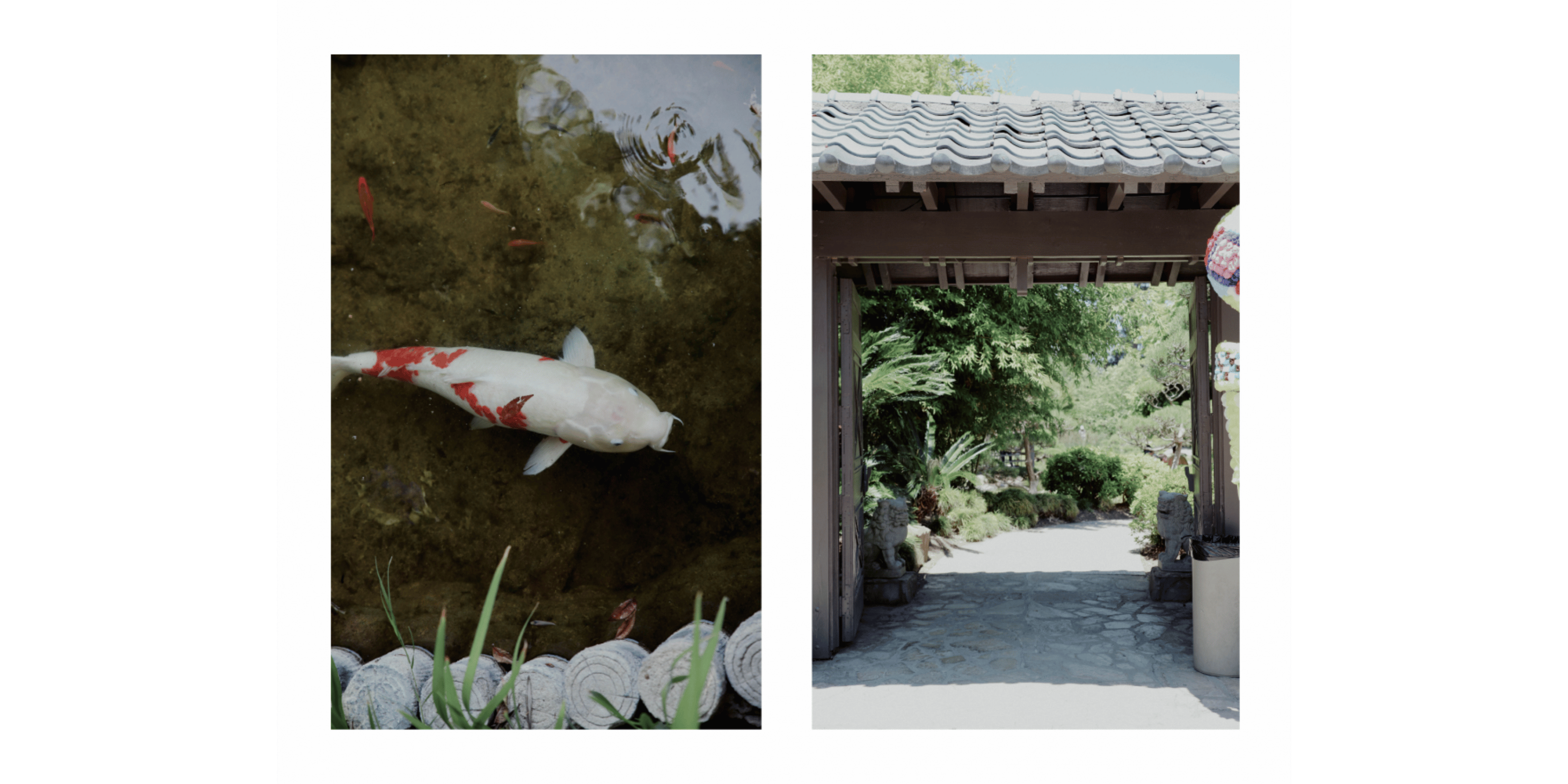 Banner Blog images - 2025-11-05T160700.870