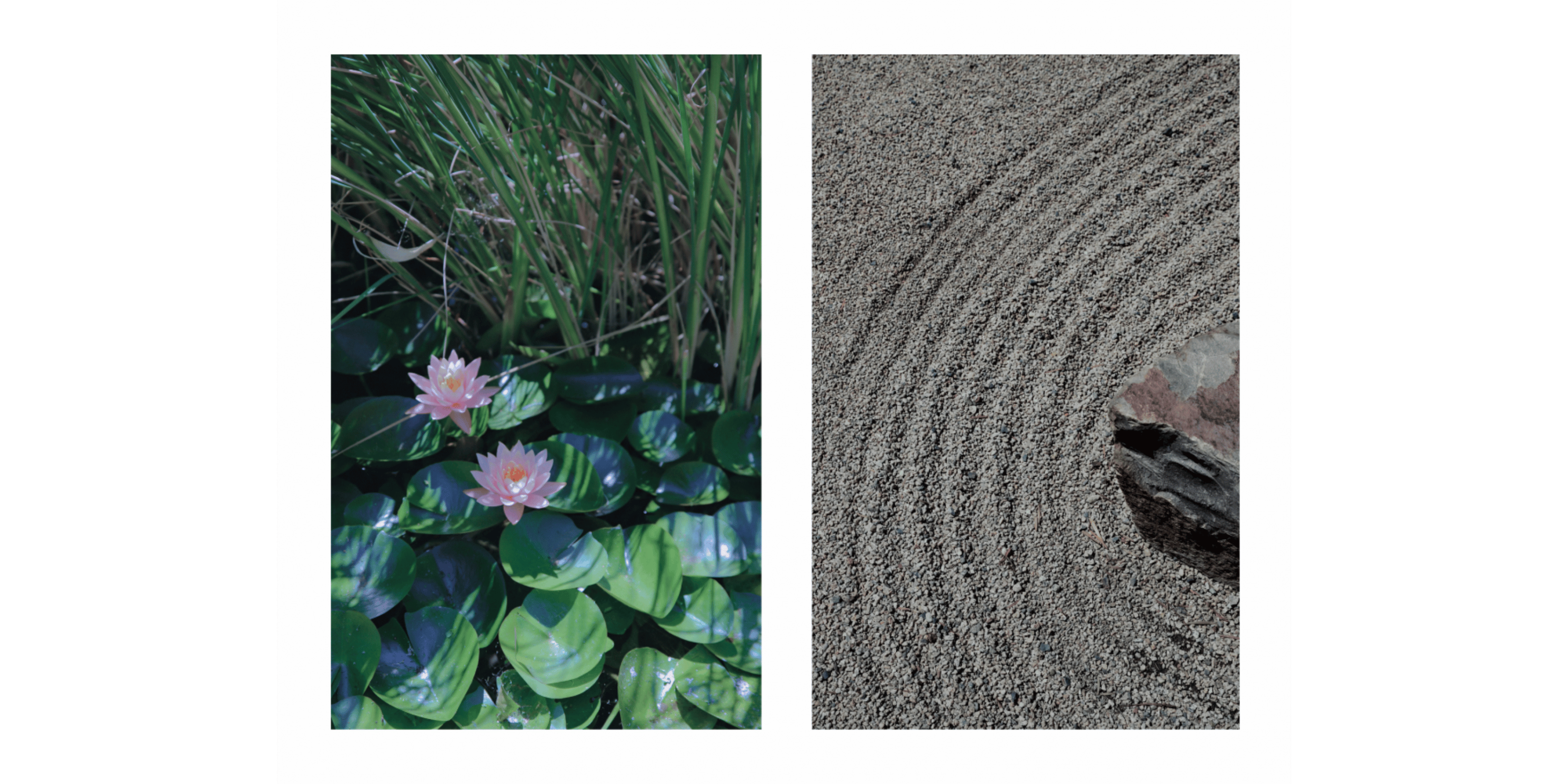 Banner Blog images - 2025-11-05T160845.415