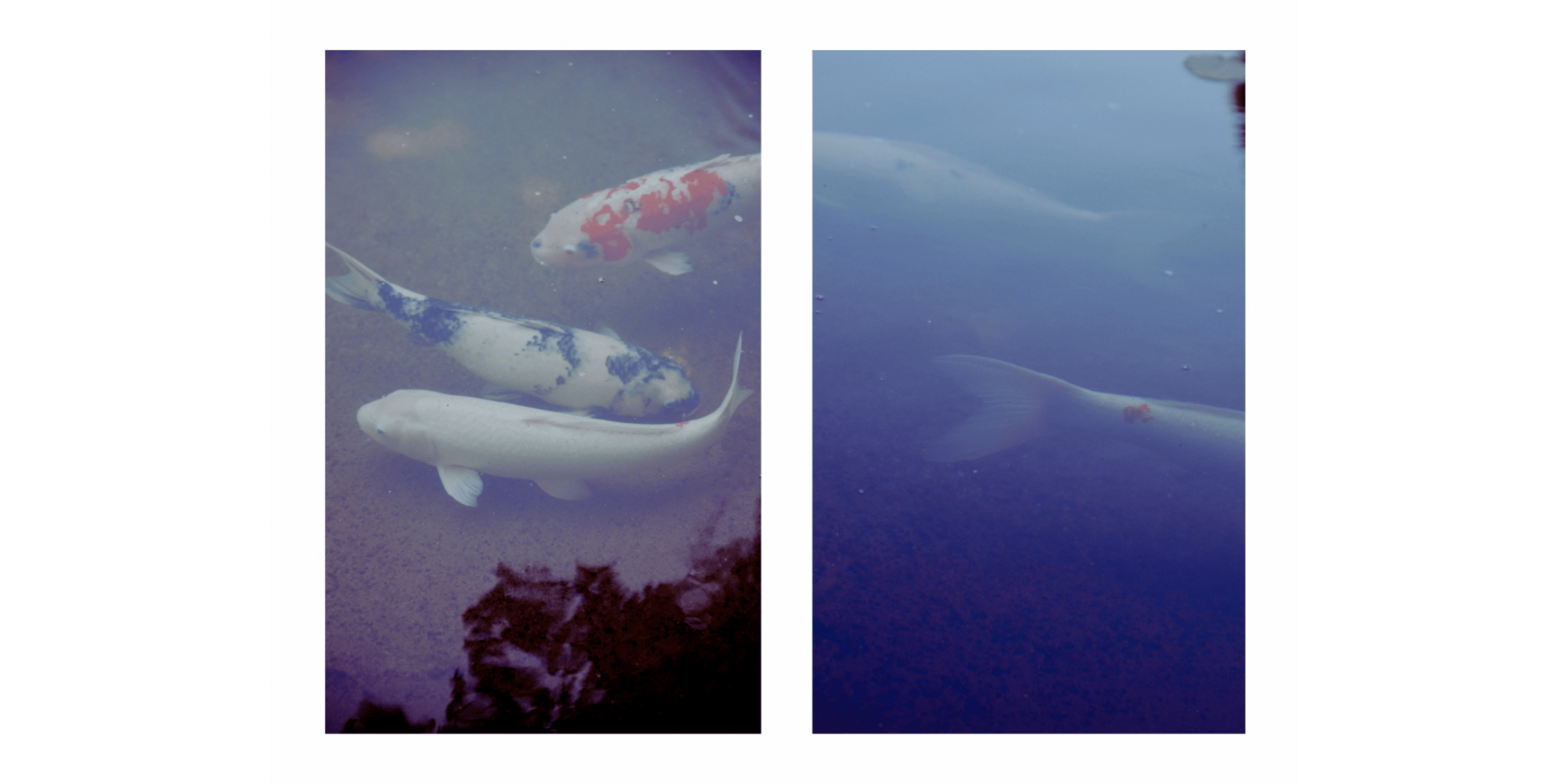 Banner Blog images - 2025-11-05T161025.812