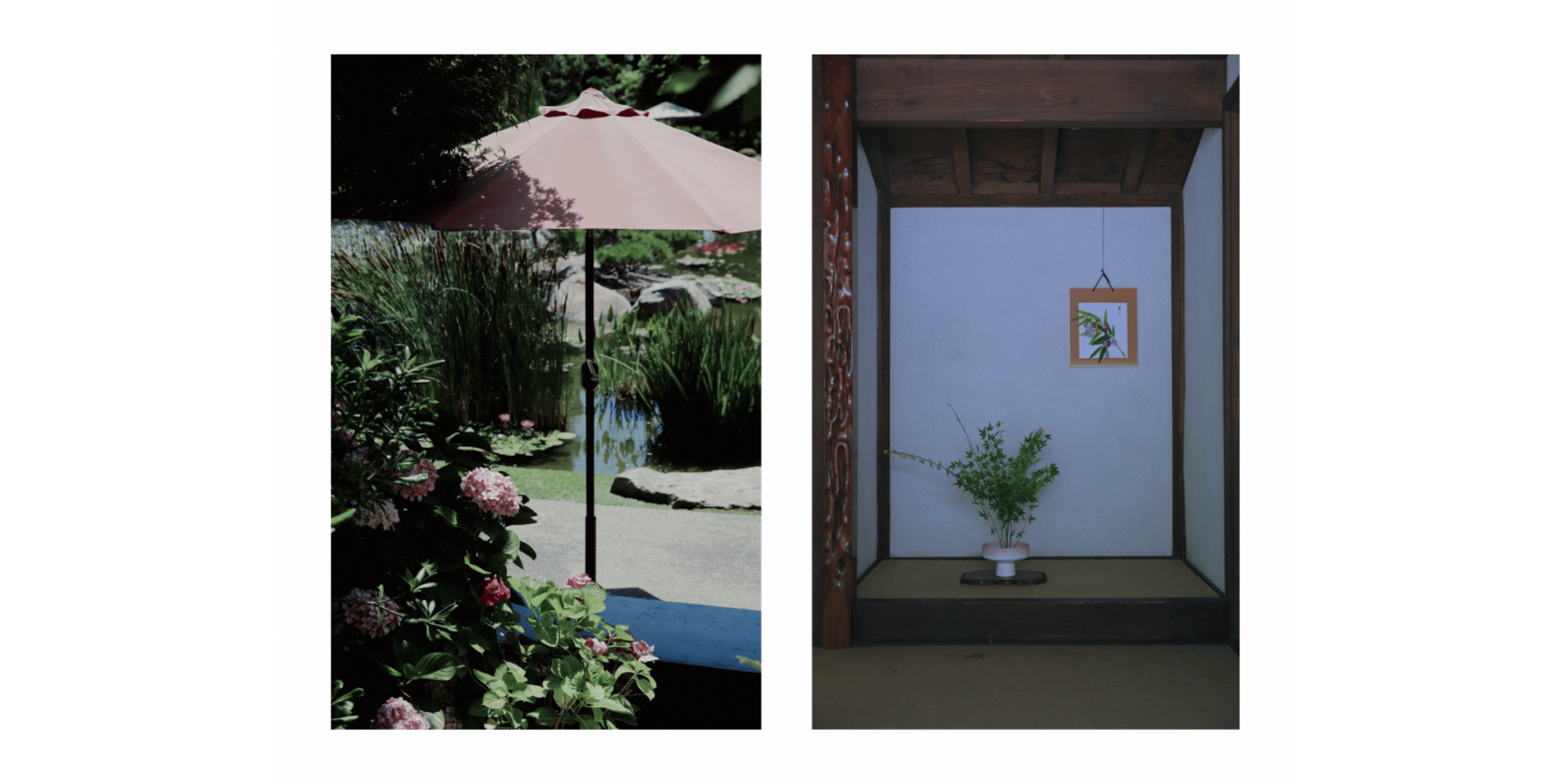 Banner Blog images - 2025-11-05T161159.370