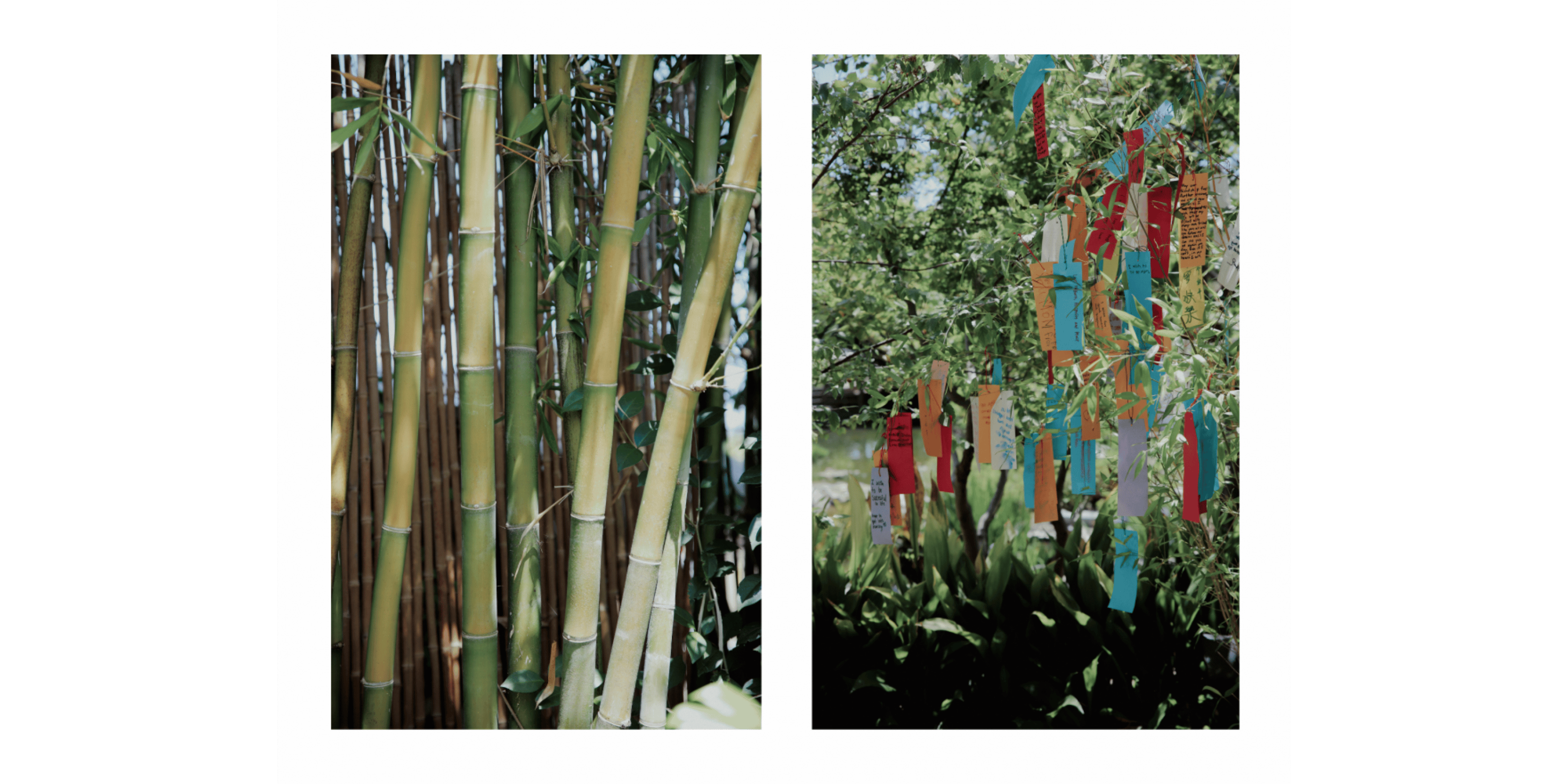 Banner Blog images - 2025-11-05T161357.055