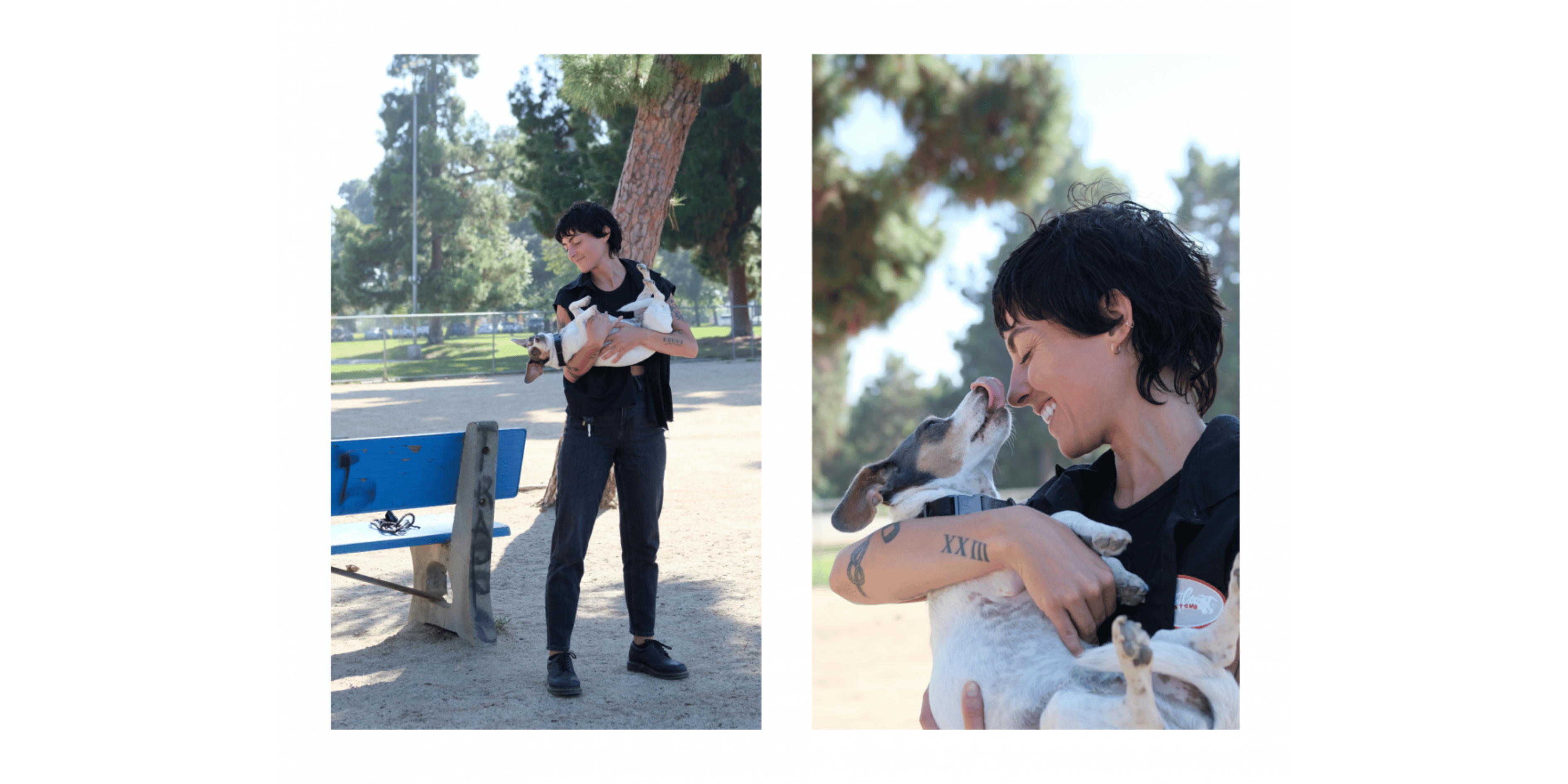 Banner Blog images - 2025-11-05T161806.474