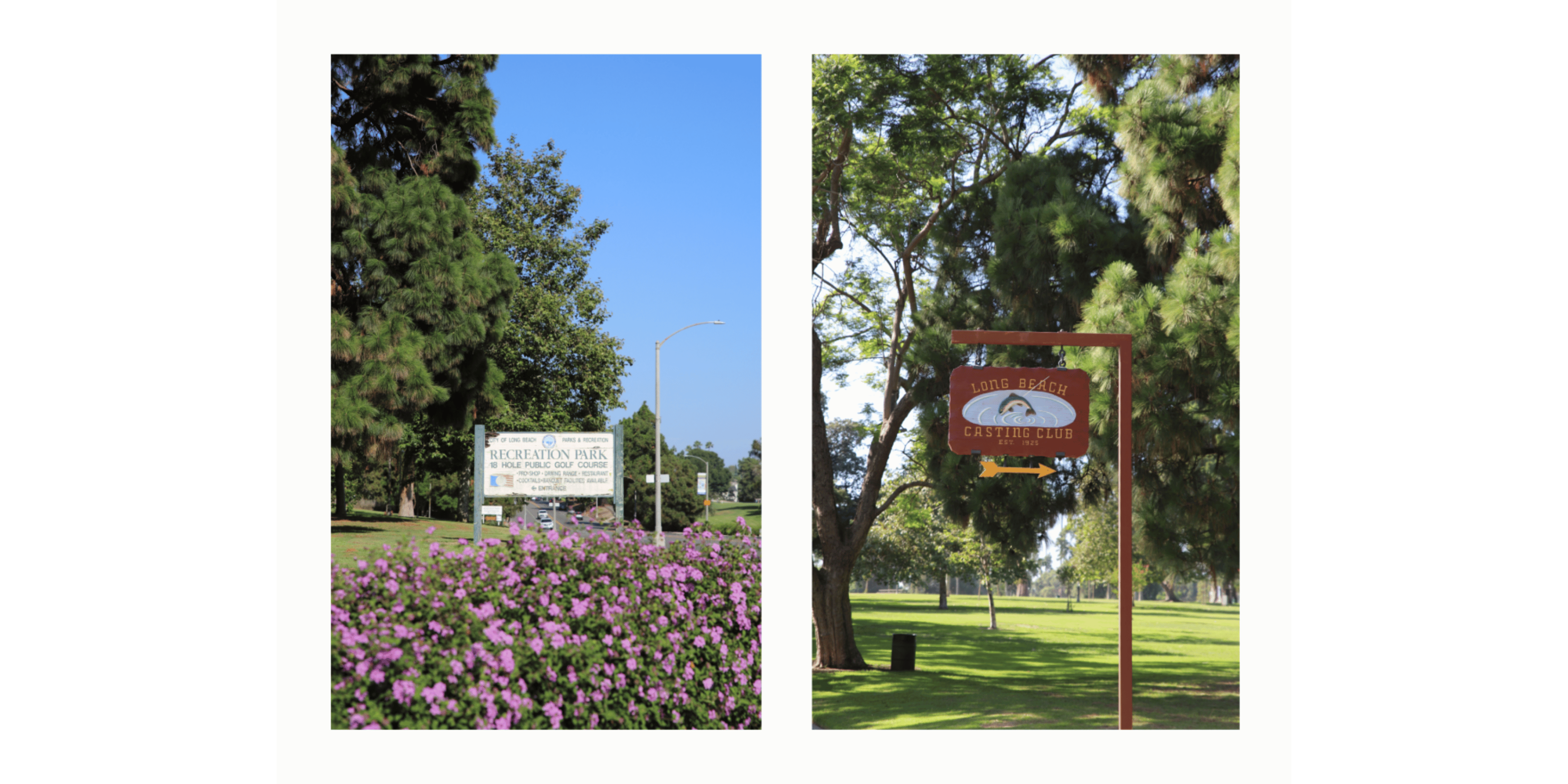 Banner Blog images - 2025-11-05T162150.253