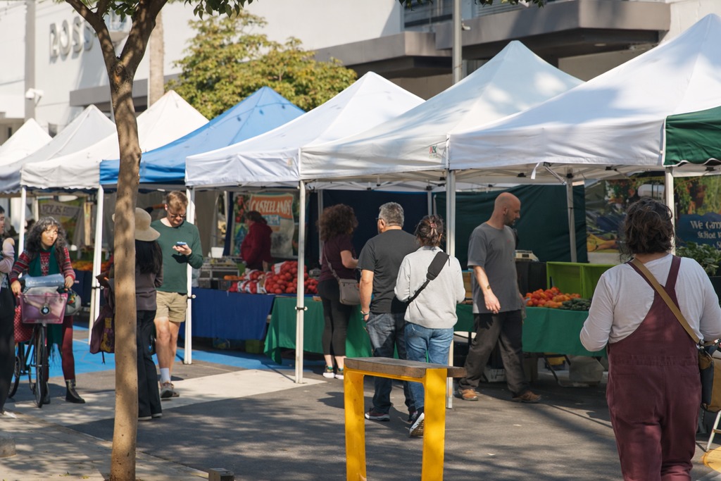 Image Feb 13, 2026, 01_25_25 PM