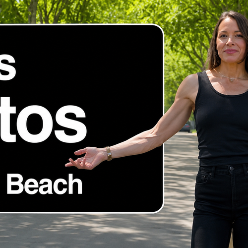 Big Lots, Top Schools, No Beach Price Tag | Los Altos Tour