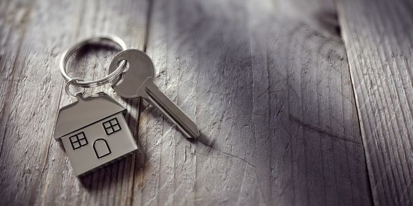 Little Governments: The Homeowners Association