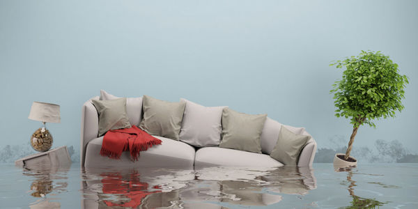 5 things you need to know about home &hellip;