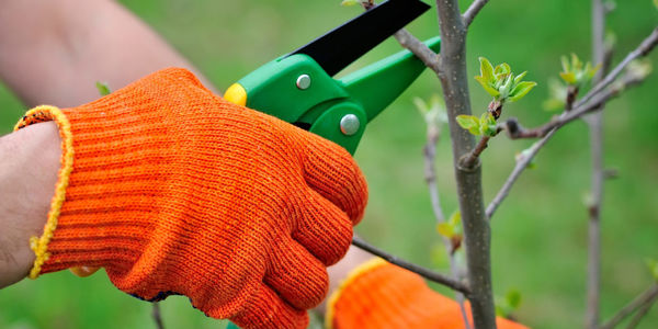 Spring is on the way — how’s that &hellip;