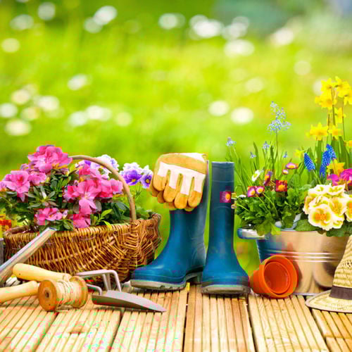 Gardening ideas for a condo balcony