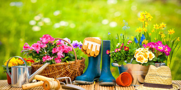 Gardening ideas for a condo balcony