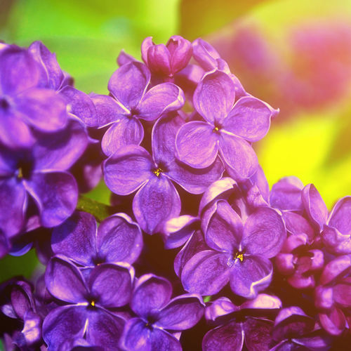 Mother’s Day: It’s not supposed to be a Hallmark holiday