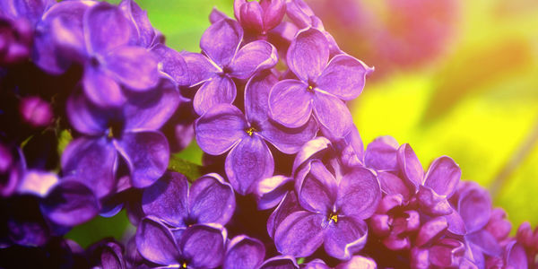 Mother’s Day: It’s not supposed to be a &hellip;