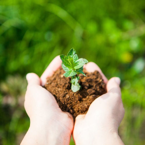 Building a home? Go green and ensure its future value