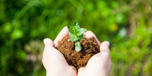 Building a home? Go green and ensure its &hellip;