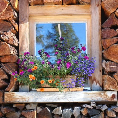 If you want to sell your home this fall, start doing these things now