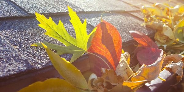 Fall Is Here! Time to get to those &hellip;